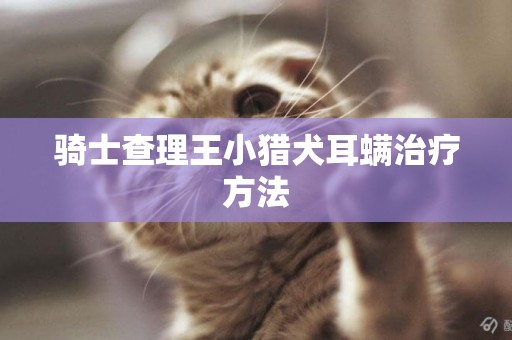 骑士查理王小猎犬耳螨治疗方法