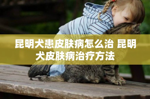 昆明犬患皮肤病怎么治 昆明犬皮肤病治疗方法