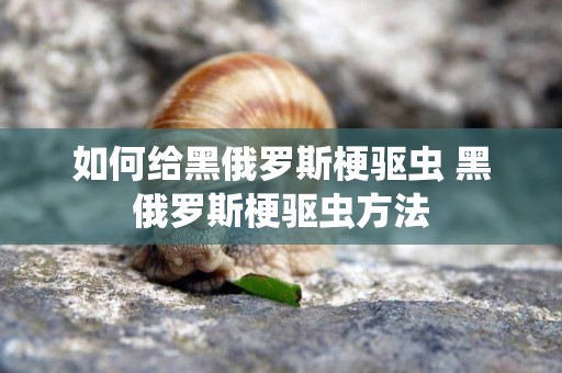 如何给黑俄罗斯梗驱虫 黑俄罗斯梗驱虫方法