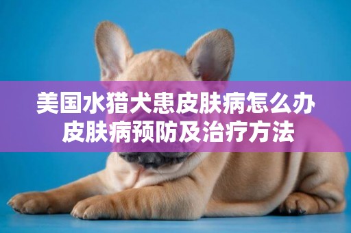 美国水猎犬患皮肤病怎么办 皮肤病预防及治疗方法