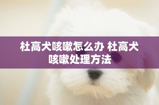 杜高犬咳嗽怎么办 杜高犬咳嗽处理方法