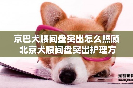 京巴犬腰间盘突出怎么照顾 北京犬腰间盘突出护理方法