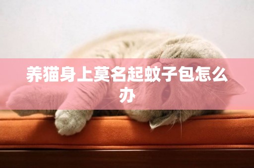 养猫身上莫名起蚊子包怎么办