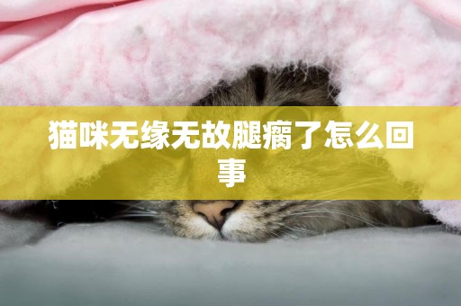 猫咪无缘无故腿瘸了怎么回事