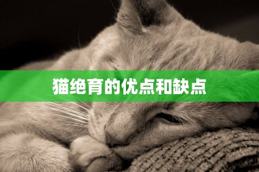 猫绝育的优点和缺点