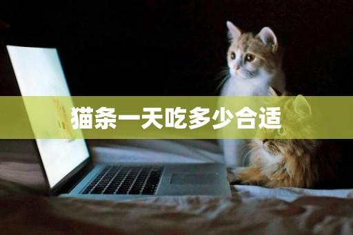 猫条一天吃多少合适