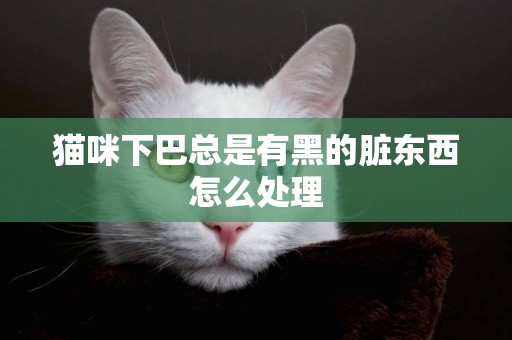 猫咪下巴总是有黑的脏东西怎么处理