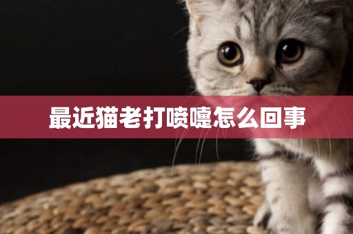 最近猫老打喷嚏怎么回事