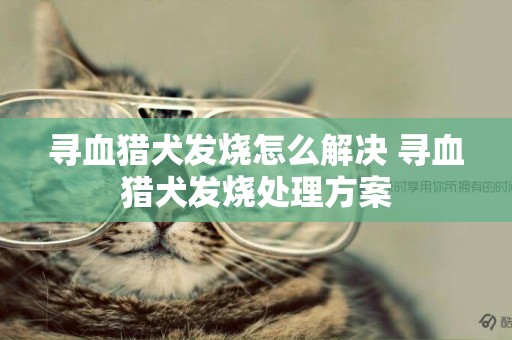 寻血猎犬发烧怎么解决 寻血猎犬发烧处理方案