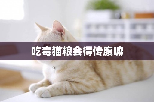 吃毒猫粮会得传腹嘛