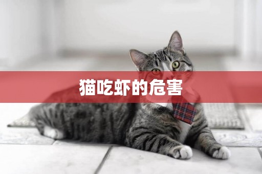 猫吃虾的危害