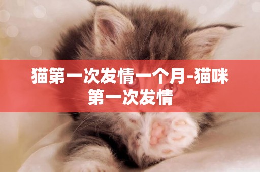 猫第一次发情一个月-猫咪第一次发情