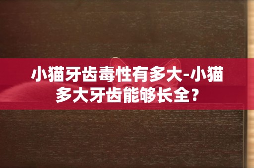 小猫牙齿毒性有多大-小猫多大牙齿能够长全？