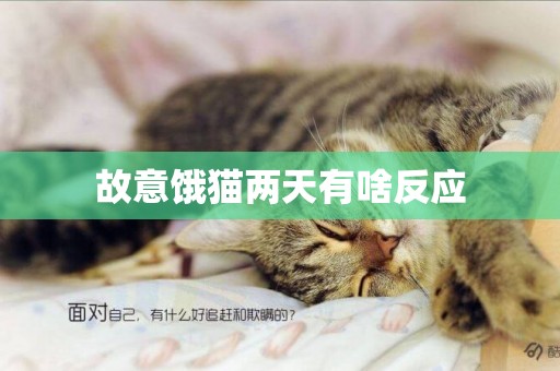 故意饿猫两天有啥反应