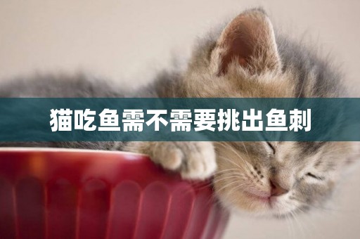 猫吃鱼需不需要挑出鱼刺