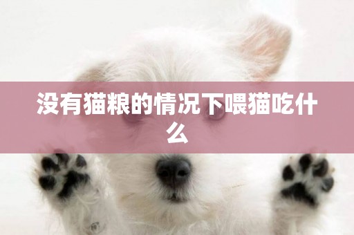 没有猫粮的情况下喂猫吃什么