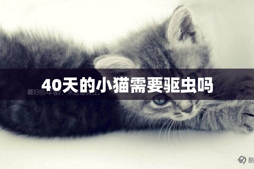 40天的小猫需要驱虫吗