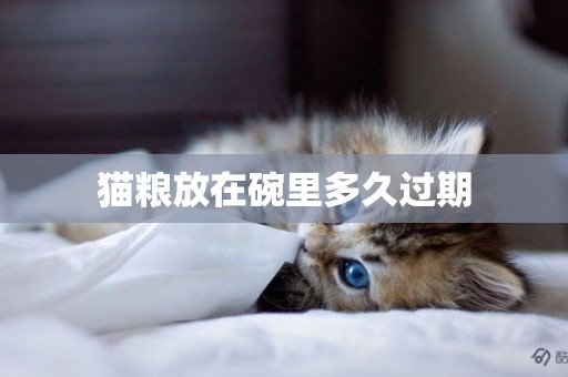 猫粮放在碗里多久过期