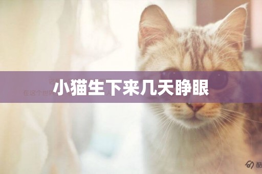 小猫生下来几天睁眼