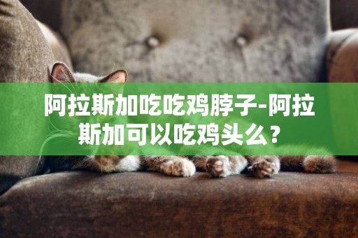 阿拉斯加吃吃鸡脖子-阿拉斯加可以吃鸡头么？