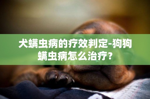 犬螨虫病的疗效判定-狗狗螨虫病怎么治疗？