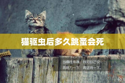 猫驱虫后多久跳蚤会死