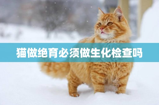 猫做绝育必须做生化检查吗