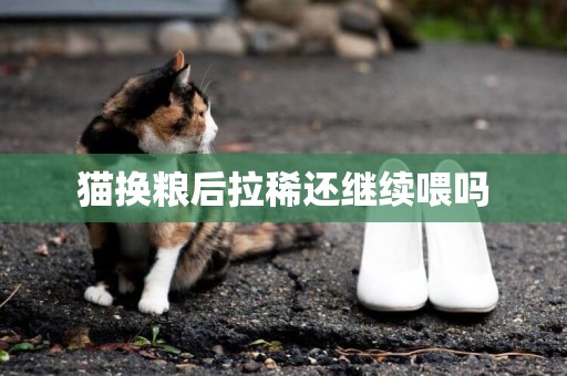 猫换粮后拉稀还继续喂吗