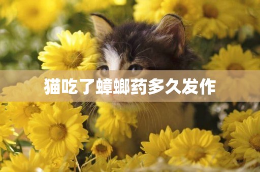 猫吃了蟑螂药多久发作