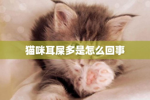 猫咪耳屎多是怎么回事