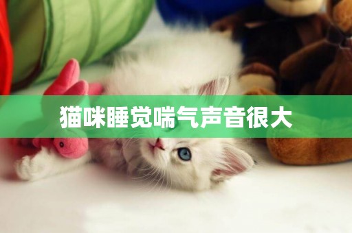 猫咪睡觉喘气声音很大