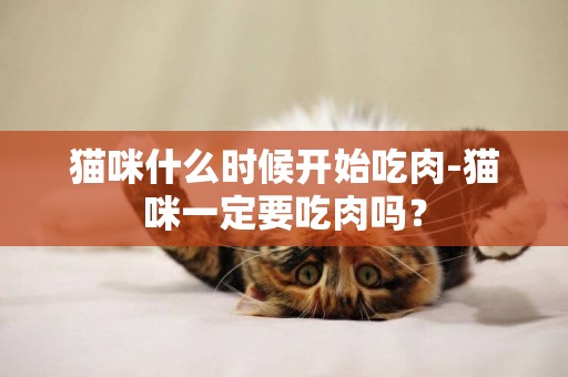 猫咪什么时候开始吃肉-猫咪一定要吃肉吗？