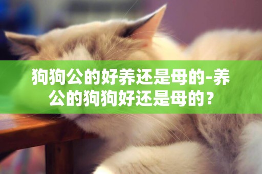 狗狗公的好养还是母的-养公的狗狗好还是母的？