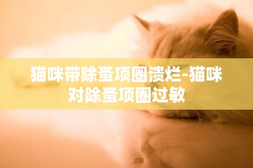 猫咪带除蚤项圈溃烂-猫咪对除蚤项圈过敏