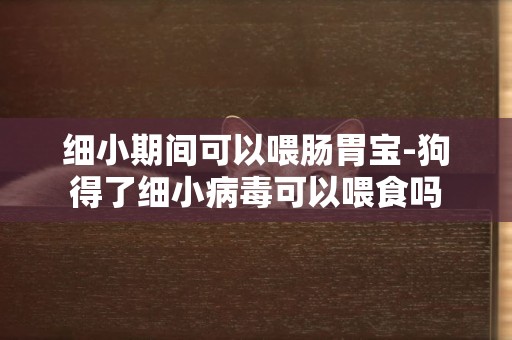 细小期间可以喂肠胃宝-狗得了细小病毒可以喂食吗