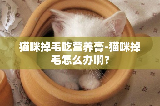 猫咪掉毛吃营养膏-猫咪掉毛怎么办啊？