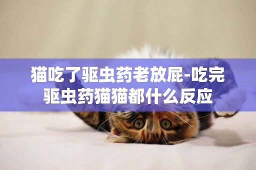 猫吃了驱虫药老放屁-吃完驱虫药猫猫都什么反应