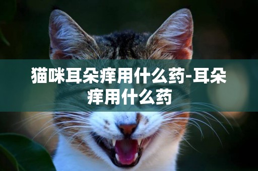 猫咪耳朵痒用什么药-耳朵痒用什么药