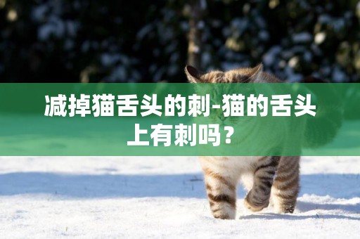 减掉猫舌头的刺-猫的舌头上有刺吗？