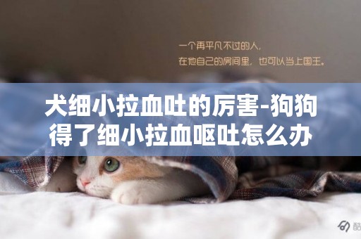 犬细小拉血吐的厉害-狗狗得了细小拉血呕吐怎么办