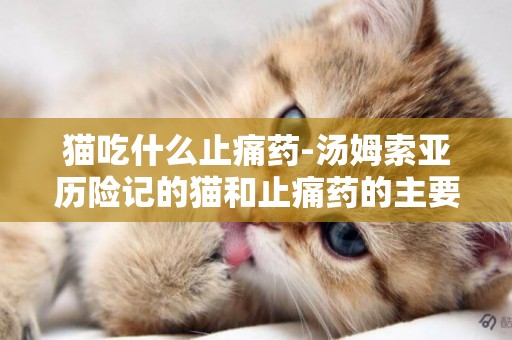 猫吃什么止痛药-汤姆索亚历险记的猫和止痛药的主要内容是什么