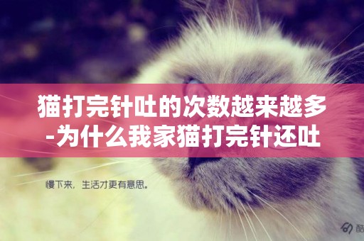 猫打完针吐的次数越来越多-为什么我家猫打完针还吐