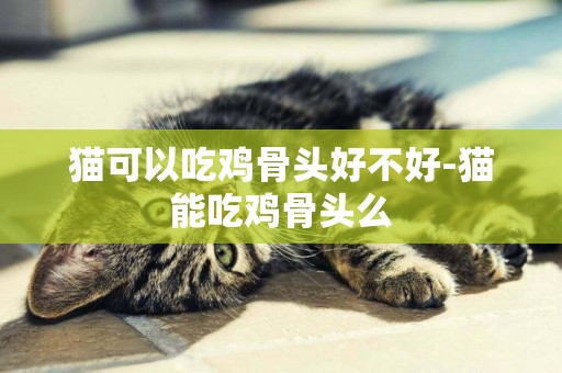 猫可以吃鸡骨头好不好-猫能吃鸡骨头么