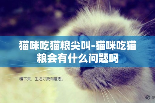 猫咪吃猫粮尖叫-猫咪吃猫粮会有什么问题吗