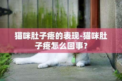 猫咪肚子疼的表现-猫咪肚子疼怎么回事？