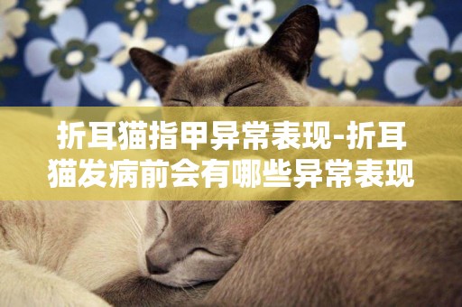 折耳猫指甲异常表现-折耳猫发病前会有哪些异常表现？