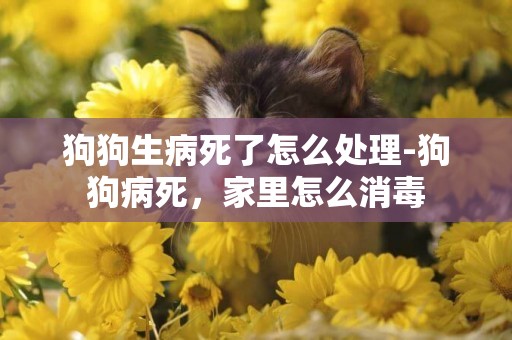 狗狗生病死了怎么处理-狗狗病死，家里怎么消毒