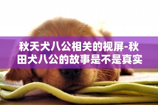 秋天犬八公相关的视屏-秋田犬八公的故事是不是真实的