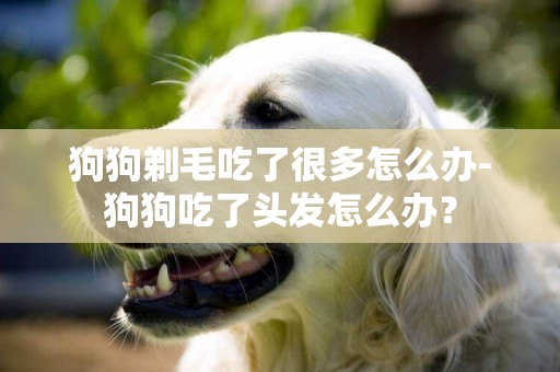 狗狗剃毛吃了很多怎么办-狗狗吃了头发怎么办？