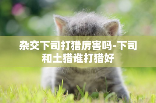 杂交下司打猎厉害吗-下司和土猎谁打猎好